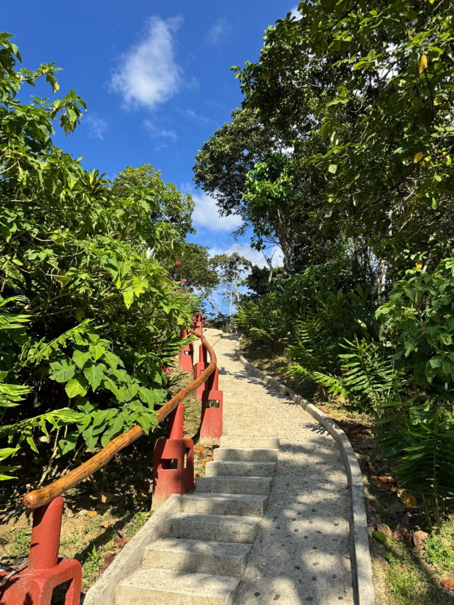 Mundo Nuevo Eco Lodge 米卡 外观 照片