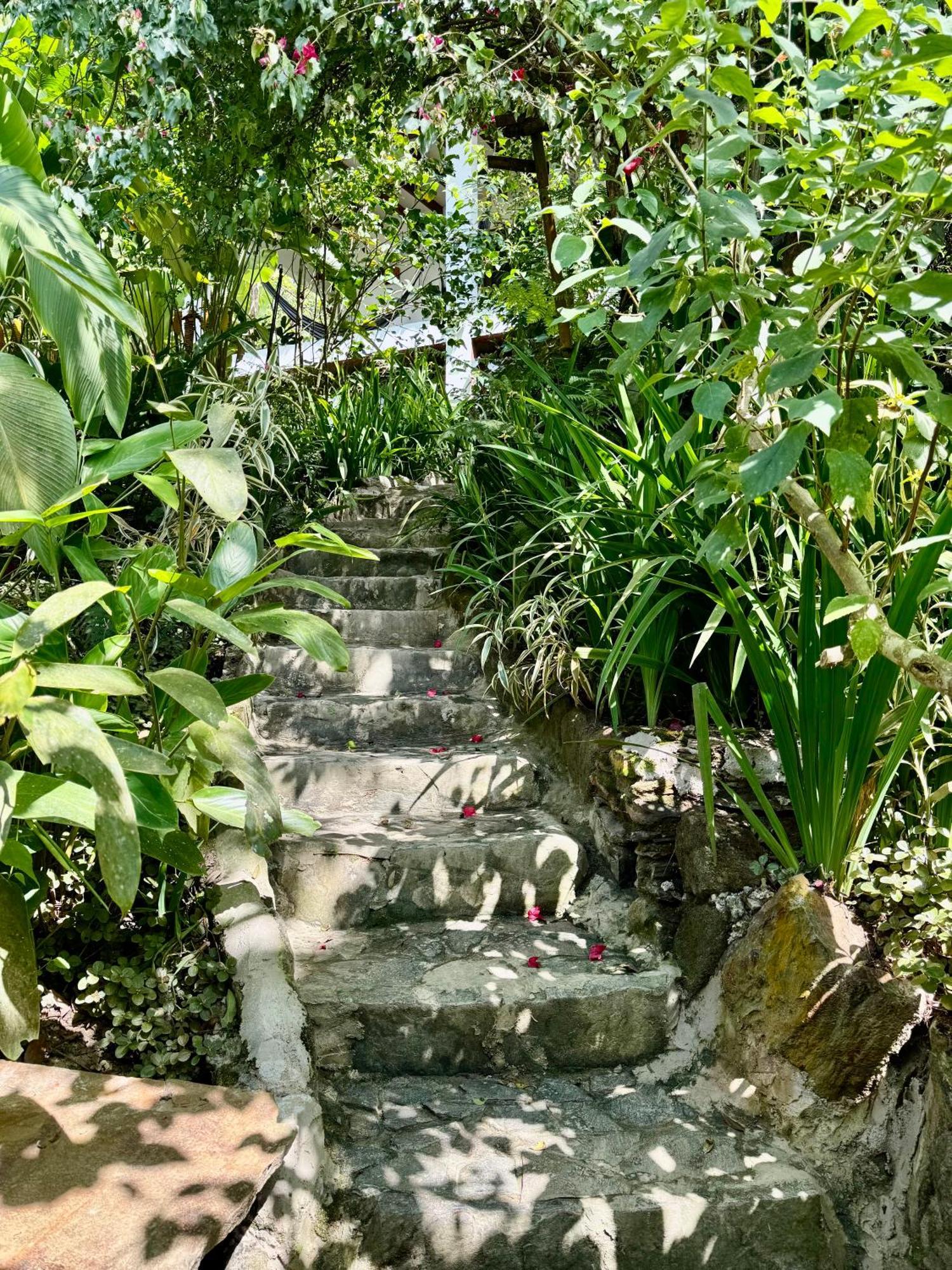 Mundo Nuevo Eco Lodge 米卡 外观 照片